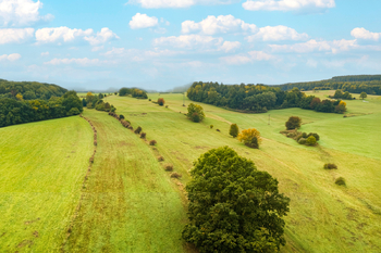 Prodej jiných prostor 555 m², Horní Libchava