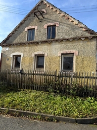 Prodej domu 220 m², Planá