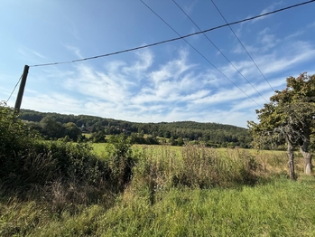 Prodej pozemku 23391 m², Braňany