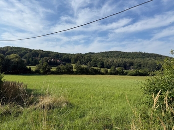 Prodej pozemku 23391 m², Braňany