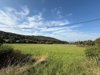 Prodej pozemku 23391 m², Braňany