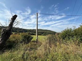 Prodej pozemku 23391 m², Braňany