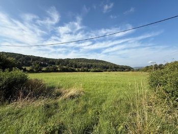 Prodej pozemku 23391 m², Braňany