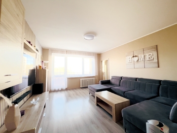 Prodej bytu 3+1 v družstevním vlastnictví 79 m², Havířov