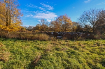 Prodej zemědělského objektu 2319 m², Jistebnice