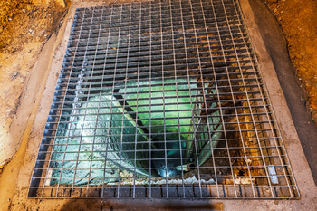 STUDNA  - Pronájem obchodních prostor 90 m², Praha 3 - Žižkov