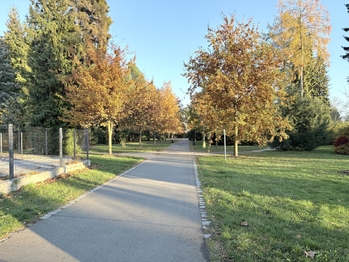 Pronájem bytu 2+kk v osobním vlastnictví 45 m², Zábřeh