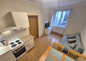 Prodej bytu 2+kk v osobním vlastnictví 55 m², Praha 3 - Žižkov