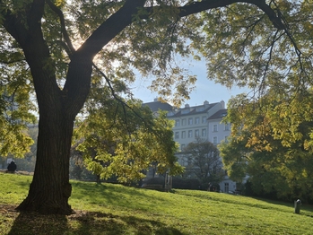 Prodej bytu 2+kk v osobním vlastnictví 55 m², Praha 3 - Žižkov