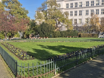 Prodej bytu 2+kk v osobním vlastnictví 55 m², Praha 3 - Žižkov