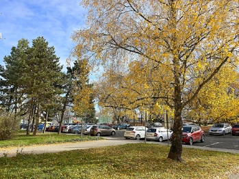 Okolí domu - Prodej bytu 1+kk v osobním vlastnictví 27 m², Kladno