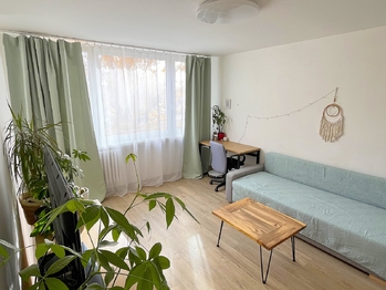 Obývací místnost - Prodej bytu 1+kk v osobním vlastnictví 27 m², Kladno