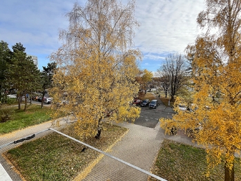 Výhled u obývací místnosti - Prodej bytu 1+kk v osobním vlastnictví 27 m², Kladno