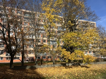 Pohled na obytný dům - Prodej bytu 1+kk v osobním vlastnictví 44 m², Kladno