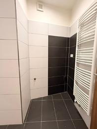 Pronájem bytu 3+1 v osobním vlastnictví 90 m², Ostrava