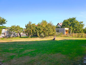 Prostorná zahrada za domem s ovocnými stromy. - Prodej domu 230 m², Městec Králové