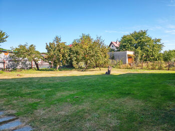 Prostorná zahrada za domem s ovocnými stromy. - Prodej domu 230 m², Městec Králové