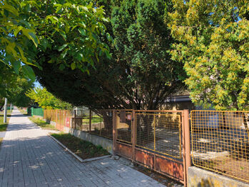 Prodej domu 230 m², Městec Králové