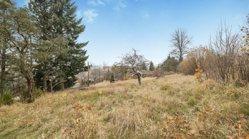 Prodej pozemku 2242 m², Luka nad Jihlavou