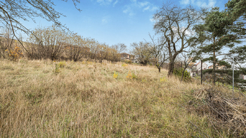 Prodej pozemku 2242 m², Luka nad Jihlavou