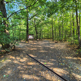 Pronájem bytu 3+1 v osobním vlastnictví 77 m², Praha 8 - Bohnice