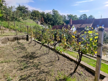 Prodej domu 115 m², Nosislav