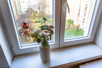 Pronájem bytu 2+kk v osobním vlastnictví 49 m², Praha 3 - Vinohrady