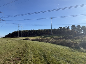 Prodej pozemku 16453 m², Nečín