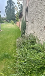 Prodej domu 130 m², Čistá