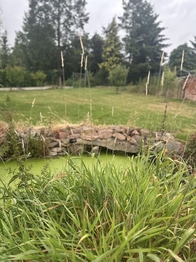 Prodej domu 130 m², Čistá