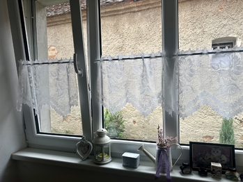 Prodej domu 130 m², Čistá