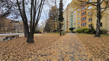 Prodej bytu 2+1 v družstevním vlastnictví 57 m², Orlová