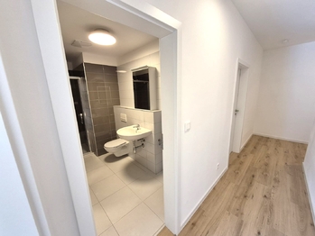 Pronájem bytu 2+kk v osobním vlastnictví 59 m², České Budějovice
