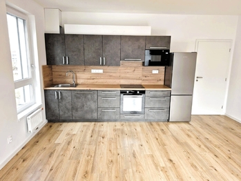 Pronájem bytu 2+kk v osobním vlastnictví 59 m², České Budějovice