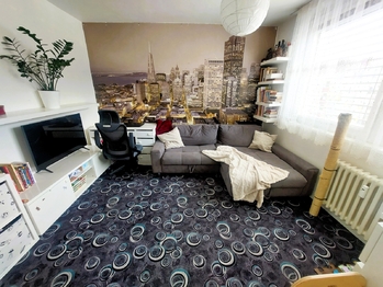 Pronájem bytu 1+1 v osobním vlastnictví 39 m², Mladá Boleslav