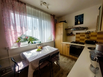 Pronájem bytu 1+1 v osobním vlastnictví 39 m², Mladá Boleslav