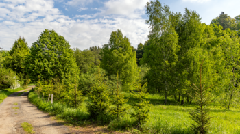 Pronájem chaty / chalupy 41 m², Zákupy