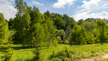 Pronájem chaty / chalupy 41 m², Zákupy