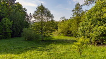 Pronájem chaty / chalupy 41 m², Zákupy