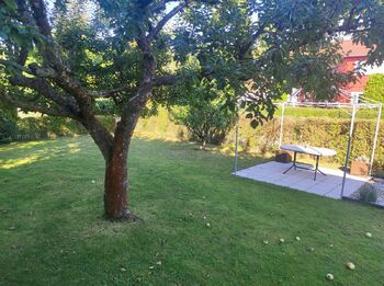 Pronájem bytu 2+1 v osobním vlastnictví 65 m², Pardubice