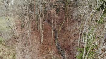 Prodej pozemku 5535 m², Železný Brod