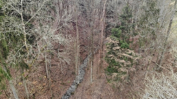 Celou parcelou č. 2133 prochází potok - Prodej pozemku 5535 m², Železný Brod