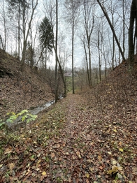 Stezka podél potoka napříč parcelou č.2133 - Prodej pozemku 5535 m², Železný Brod