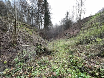 Pohled na jížní část parcely č.2133 - Prodej pozemku 5535 m², Železný Brod