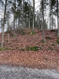 Pohled od severní hranice parcely č.1905 - Prodej pozemku 5535 m², Železný Brod