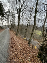 Pohled na parcelu č.1914 - Prodej pozemku 5535 m², Železný Brod