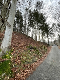 Pohled na severní hranici parcely č.1905 - Prodej pozemku 5535 m², Železný Brod