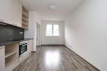 Pronájem bytu 1+1 v osobním vlastnictví 40 m², Praha 4 - Nusle