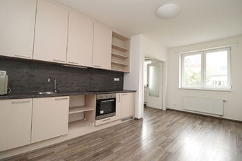 Pronájem bytu 1+1 v osobním vlastnictví 40 m², Praha 4 - Nusle