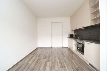 Pronájem bytu 1+1 v osobním vlastnictví 40 m², Praha 4 - Nusle